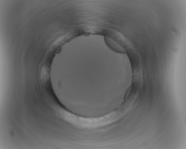 X0000113920043200910151449