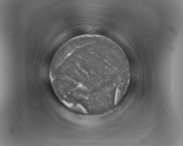 X0000113920044200910151449