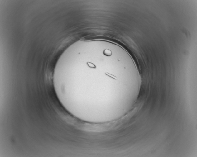 X0000113920045200910151449