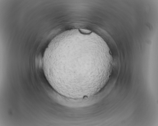 X0000113920046200910151449