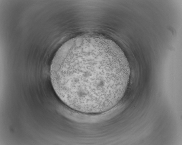 X0000113920048200910151449