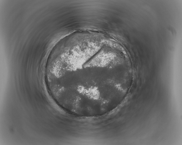 X0000113920049200910151448