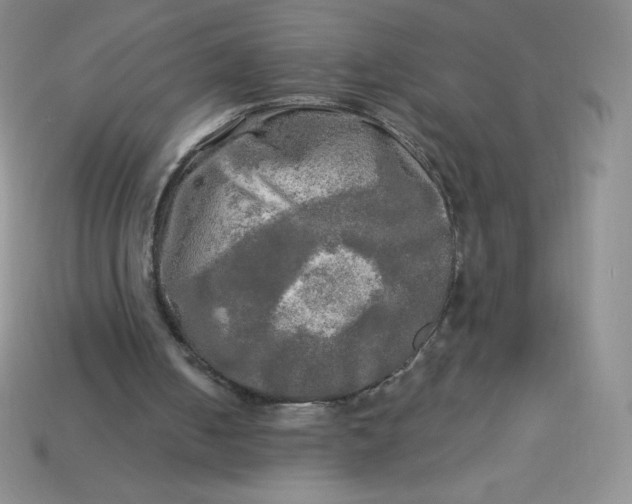 X0000113920050200910151448