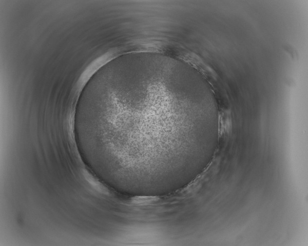 X0000113920051200910151448
