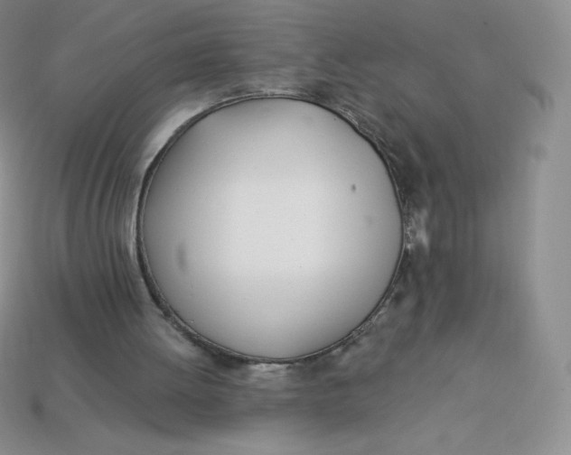 X0000113920052200910151448