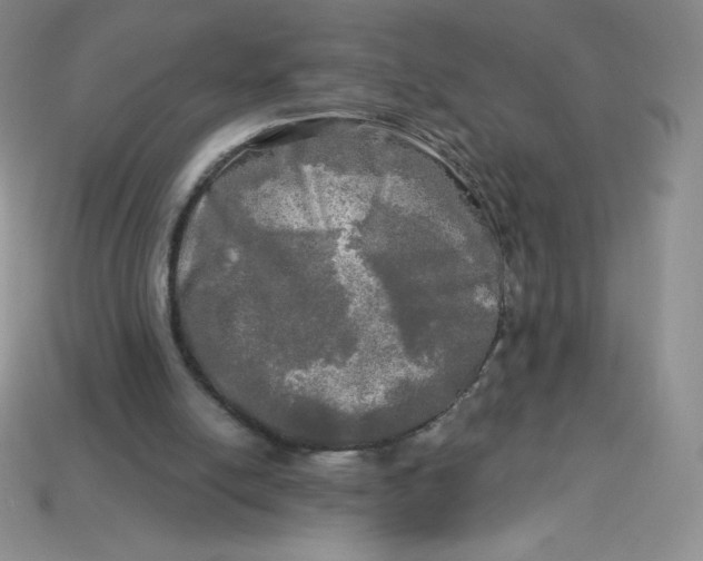 X0000113920054200910151448
