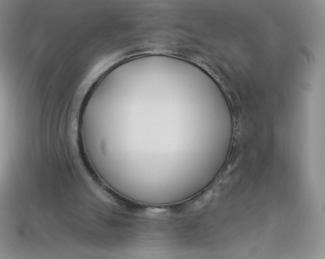 X0000113920055200910151448