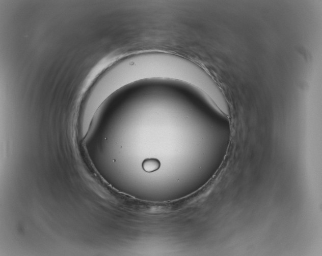X0000113920056200910151448