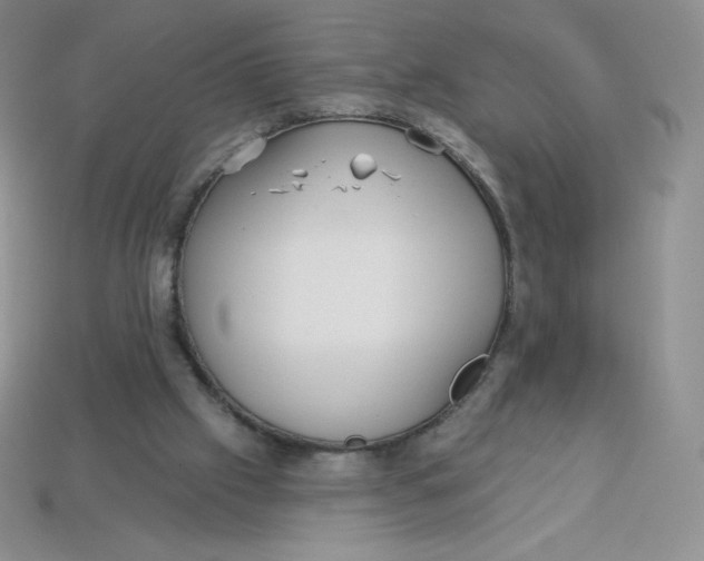 X0000113920057200910151448