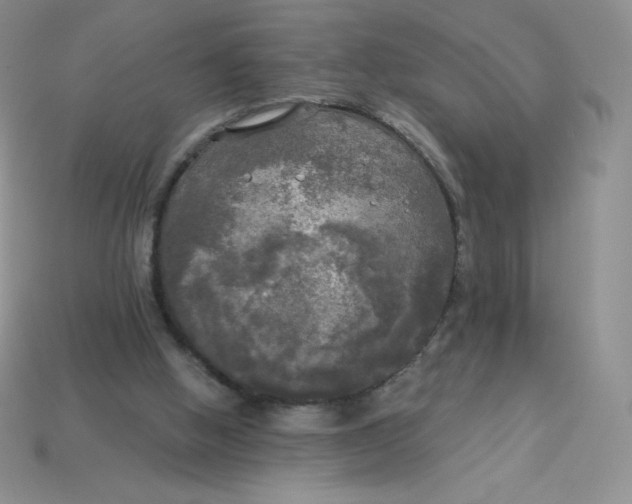 X0000113920058200910151448