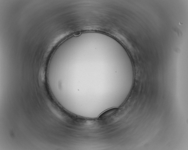 X0000113920060200910151449