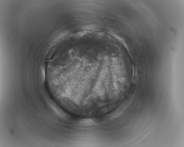 X0000113920061200910151449