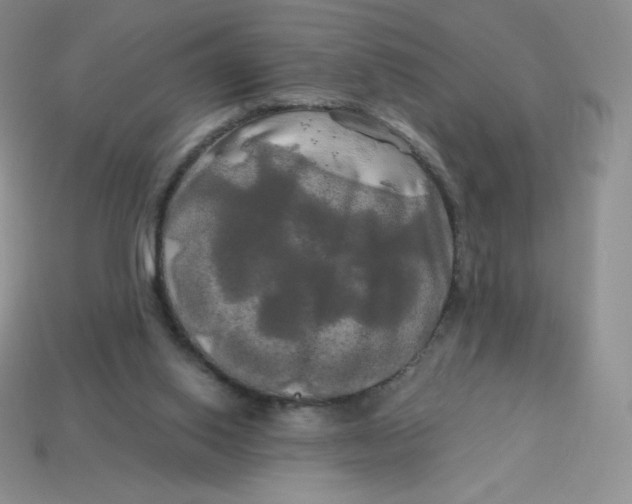 X0000113920062200910151449
