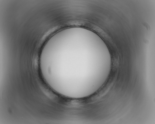 X0000113920064200910151449
