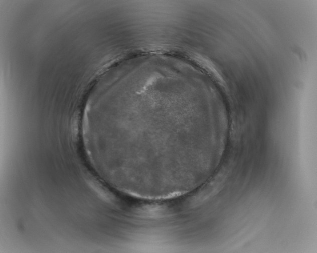 X0000113920065200910151449