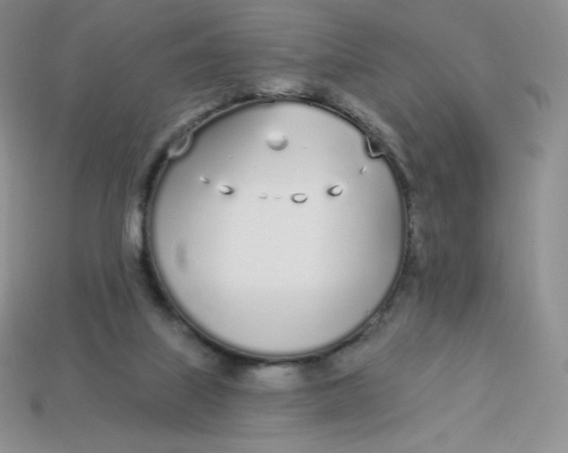 X0000113920067200910151449