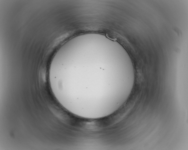 X0000113920068200910151449