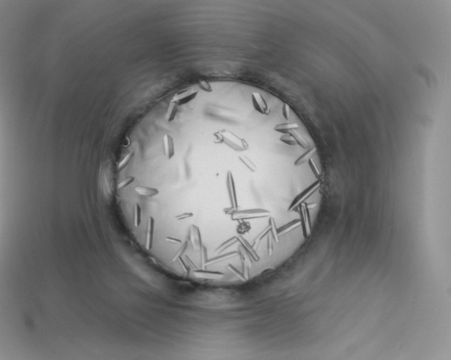 X0000113920069200910151449