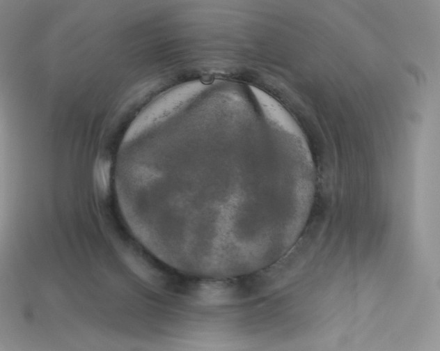 X0000113920070200910151449