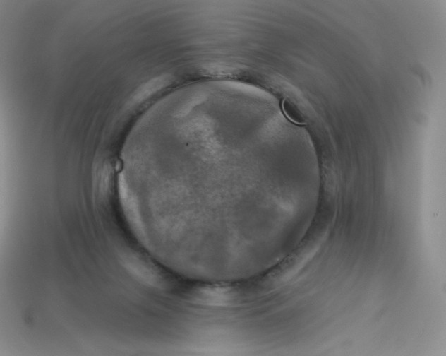 X0000113920071200910151449