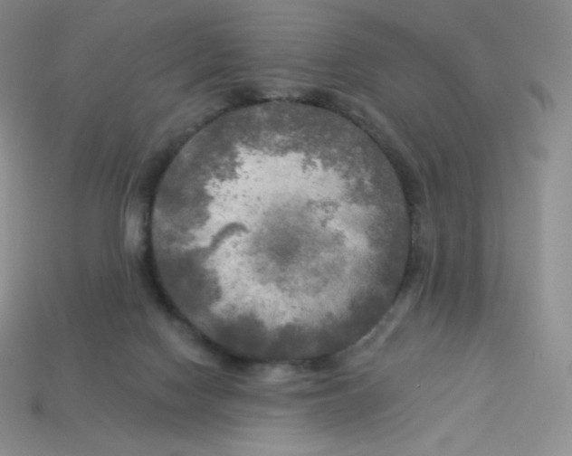 X0000113920074200910151449