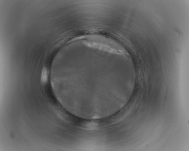 X0000113920075200910151449