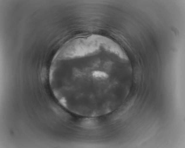 X0000113920077200910151449