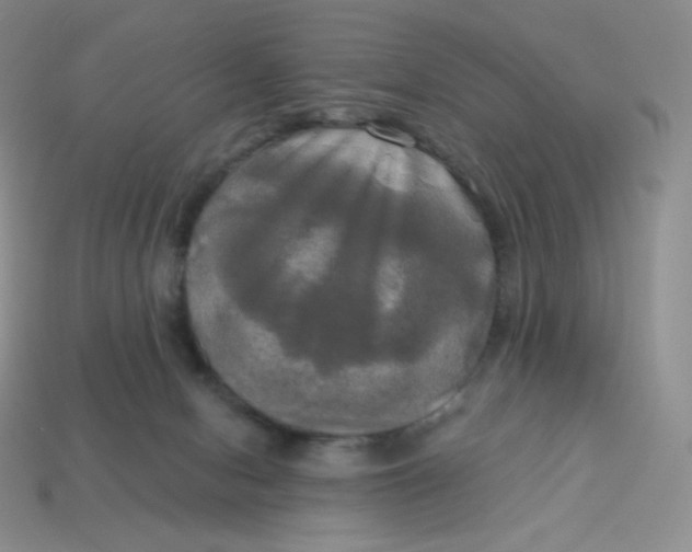 X0000113920078200910151449