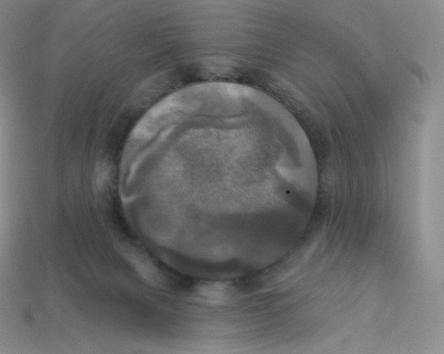 X0000113920079200910151449