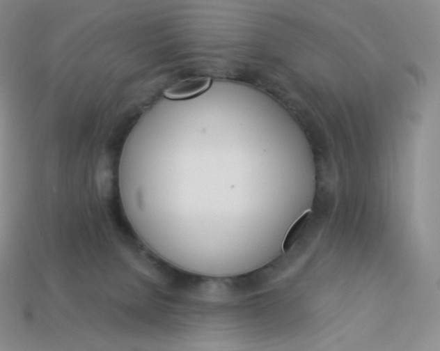 X0000113920080200910151449