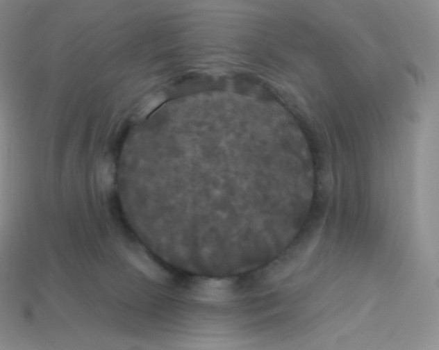 X0000113920081200910151449