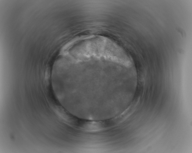 X0000113920082200910151449