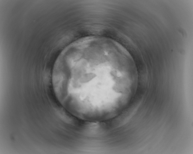 X0000113920083200910151449