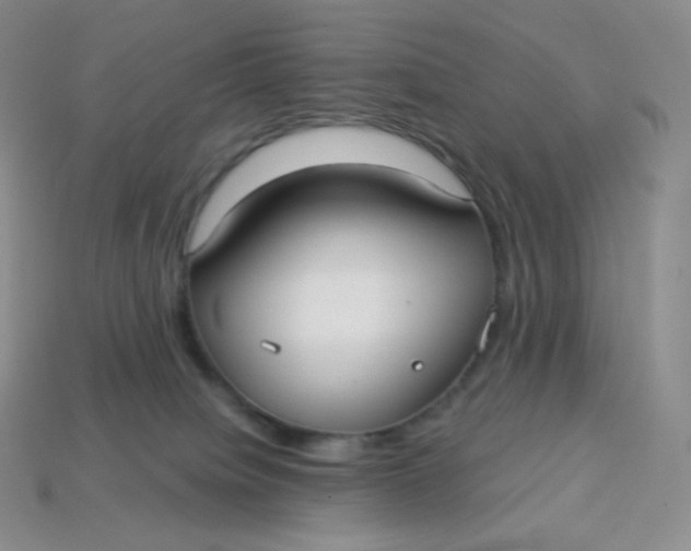 X0000113920084200910151449