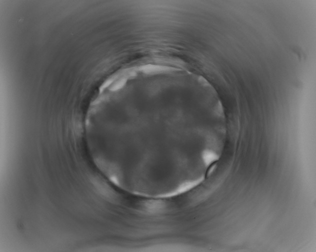 X0000113920085200910151449