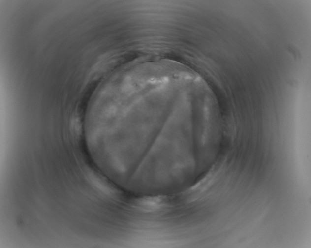 X0000113920086200910151449