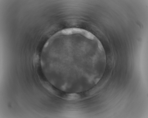 X0000113920087200910151449