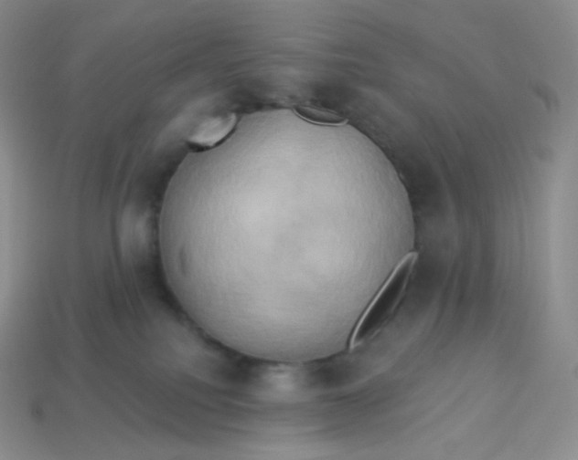 X0000113920088200910151449