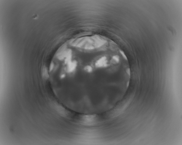 X0000113920089200910151449