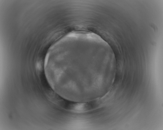 X0000113920090200910151449