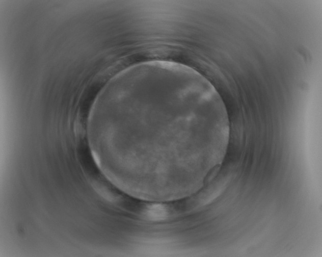 X0000113920091200910151449