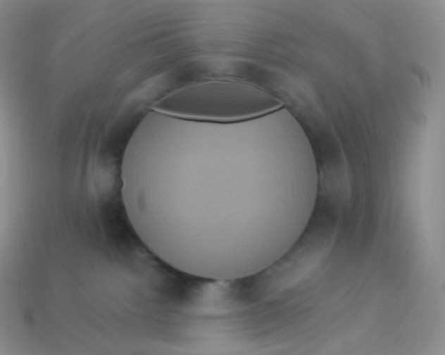 X0000113920092200910151449