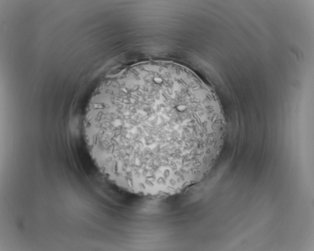 X0000113920093200910151449