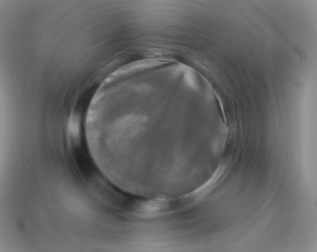 X0000113920094200910151449