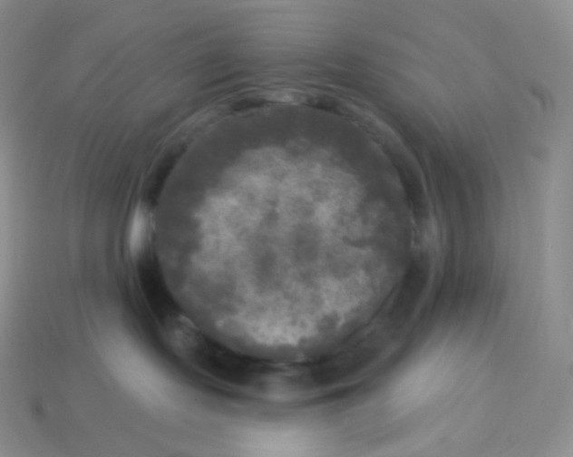 X0000113920095200910151449
