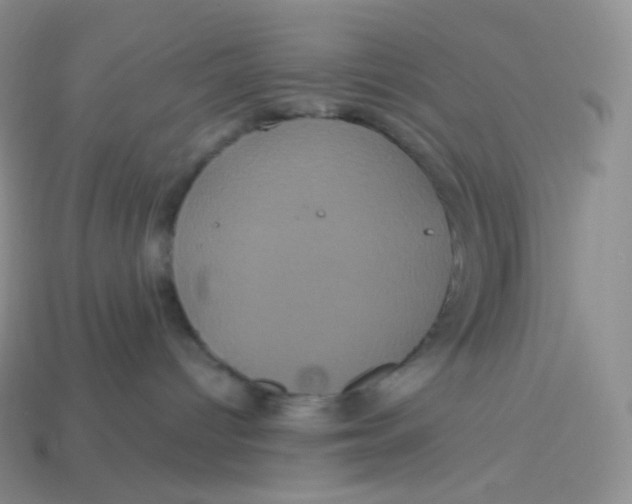 X0000113920096200910151449