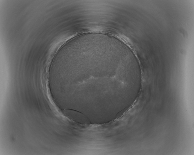 X0000113920097200910151448