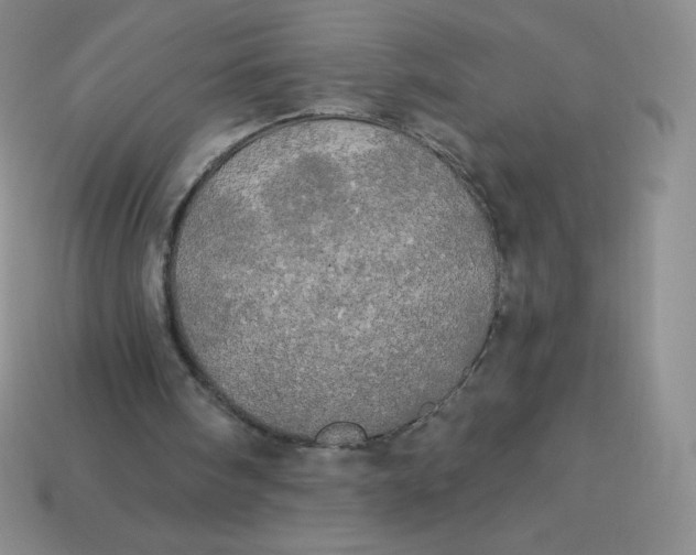 X0000113920098200910151448