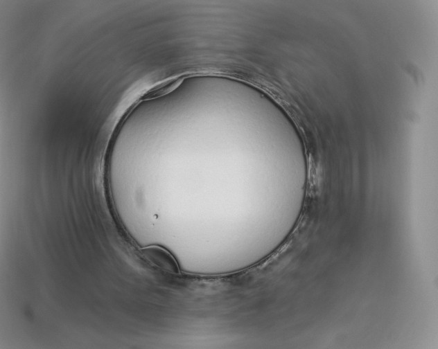 X0000113920099200910151448