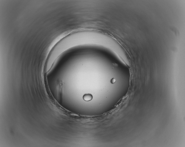X0000113920100200910151448